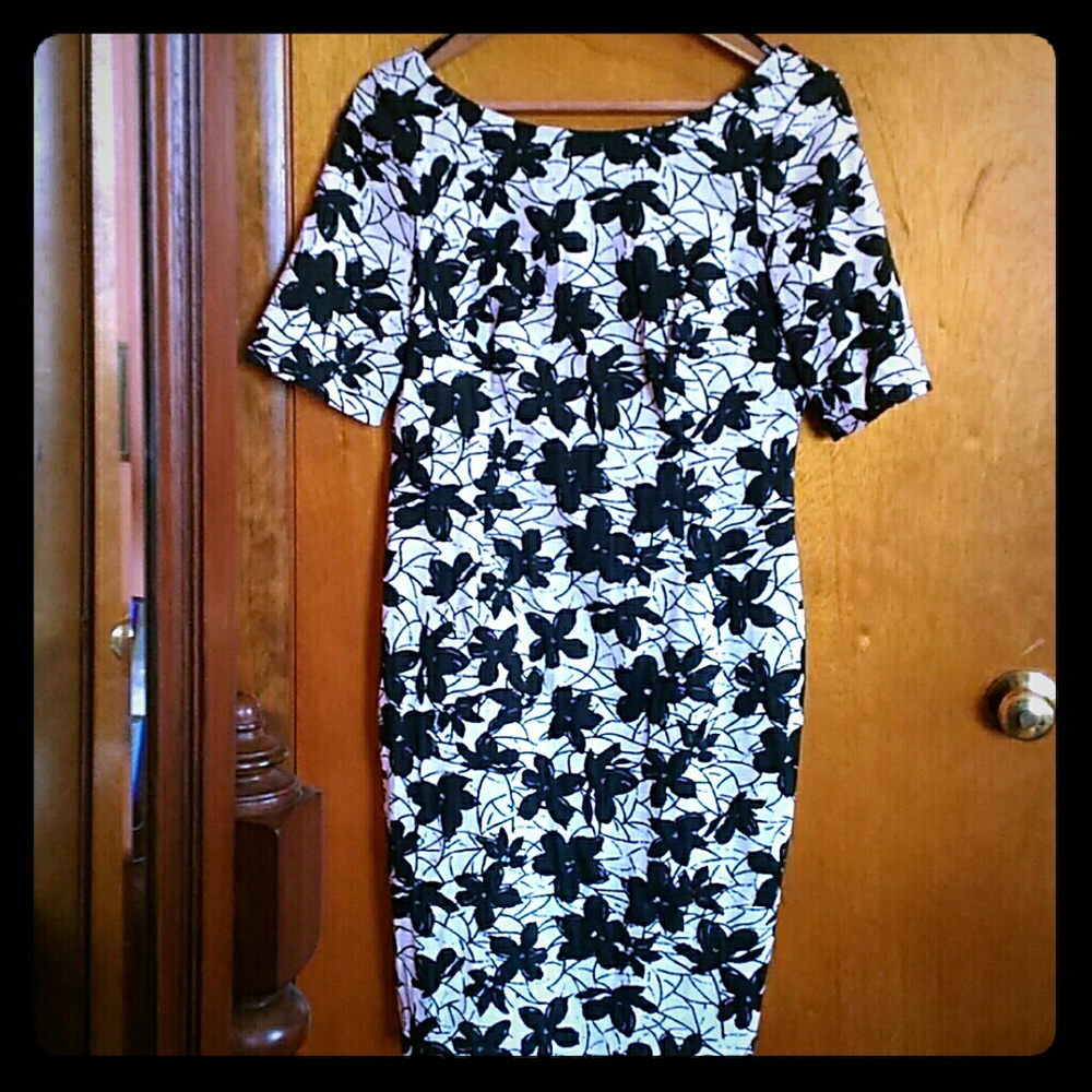 Calvin Klein Dress
